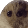 emoji_120