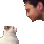 catslap