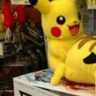 tdp_pika