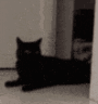 FP_PutTheCatBack