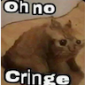 oh_no_cringe_cat
