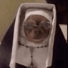 emoji_278