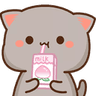 AMcatsip