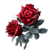 bloodrose