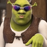 slayyshrek