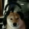 DogGamer
