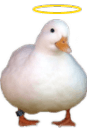 HolyDuck