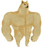 doge_powerful