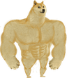 buffshiba