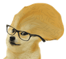 bigbraindoge