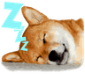 sleepshibe