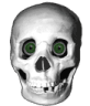 skull