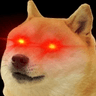 doge_suspecious