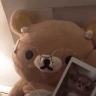 NH_ntellectuelBear