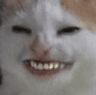 mommy_catsmile