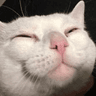 emoji_225
