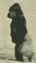 mommy_walkout