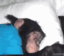 mommy_wakeup