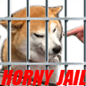 DogeHornyJail