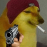 doge_gun