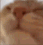 FartWater_LickyLick
