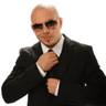 pitbull