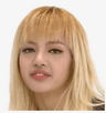 lisamemeface