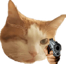 Cat_Gunpoint