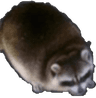 emoji_330