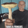 Fungus