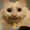 CatPray