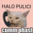 hellopolice
