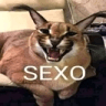 g_FlopaSexo