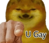 k_Hay