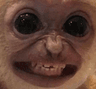 Monke