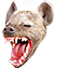 hyena