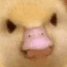 emoji_111