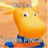 pinga