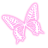 pe_kbutterfly2