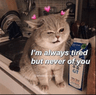 gc_catwinklove