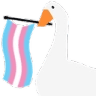 transgoose