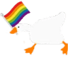 gaygoose