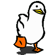 duck_waddle