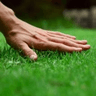 tdp_touchgrass