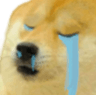 Doge_Cry