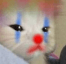 catclown
