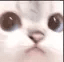 emoji_41