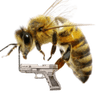 wasp