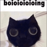 g_catbooing