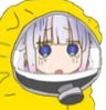 kannawat